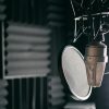 voice-over